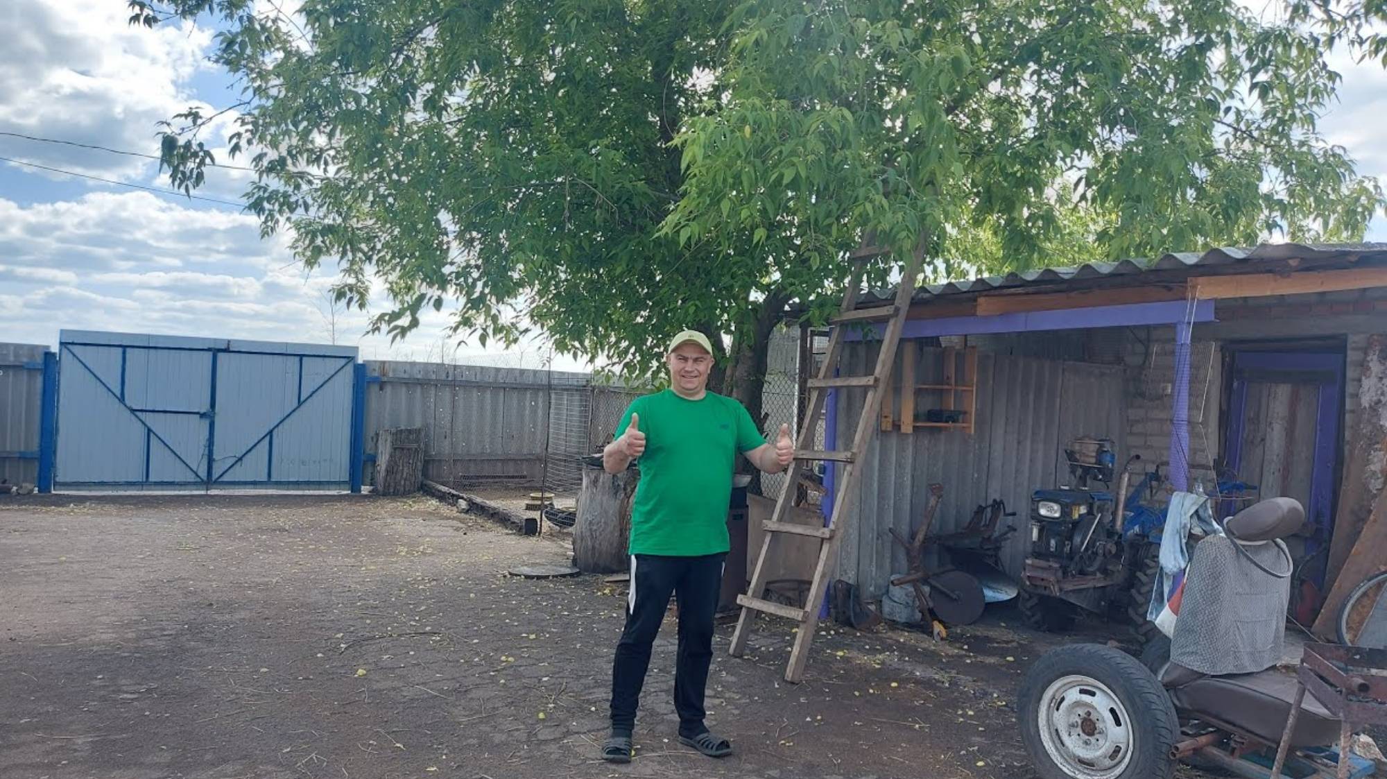 Саня Новиков. Переселил цыплят с индюшатами. Бентамка села на яйца.