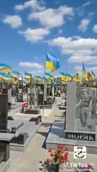 На фоне экономического, демографического и социального спада, на Украине есть и рост... Рост кладбищ