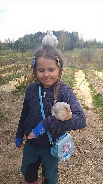 Ручные птенцы🐣🐤🐥