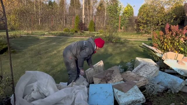 Готовим гортензию к зимовке.