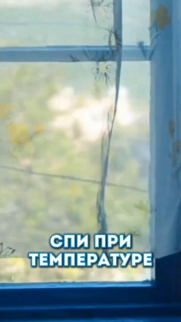 Правила здорового образа жизни от риэлтора в Москве и