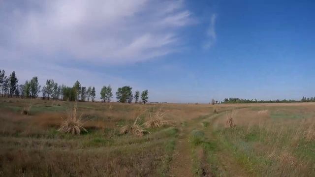 Поездка под село Захарово вдоль реки Алей.😊