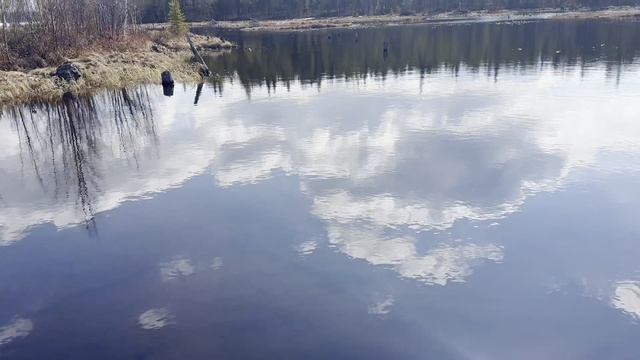 Выезд на аэролодке