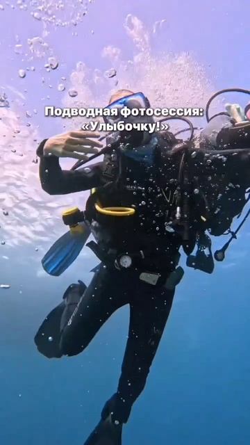 НОВИЧКИ ПУГАЮТ АКУЛ? УЗНАЙ ПОЧЕМУ! 🦈😱