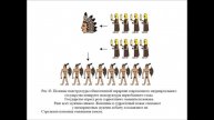 Новосёлов "Женщина. Учебник для мужчин". Глава 8 ПРОБНИК озвучки
