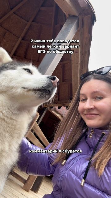 Это видео заряжено на удачу 🫶🏻 #егэ #егэ2025 #юмор #экзамены