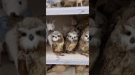 ЛЕМАНА (Леруа Мерлен)! Уже Новый год!🎄#магазин #лемана