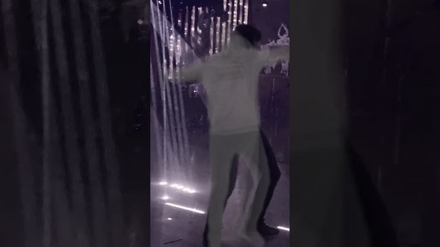 Ночи в баре Готика