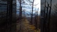 Природа Дальнего Востока