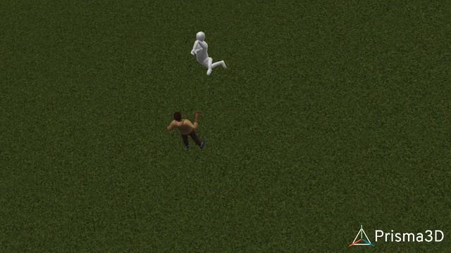 3D