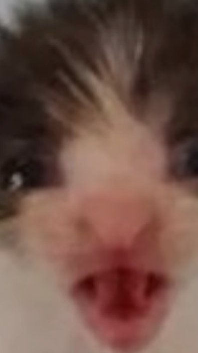 scene_output.mp4