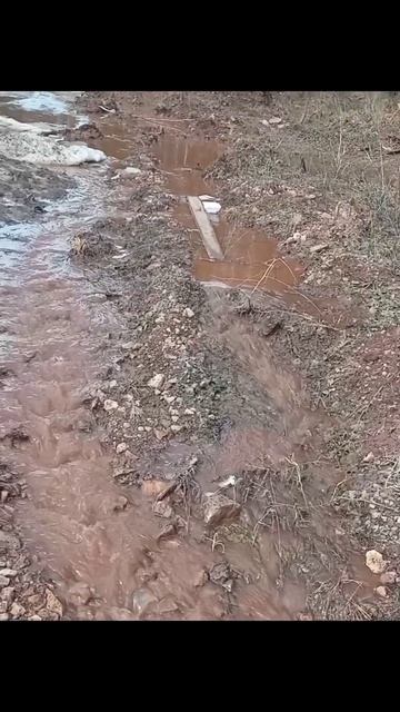 Опыт жизни