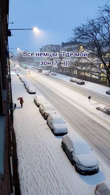 Что делают люди в Германии, когда идёт снег? #shorts