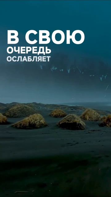 Истину отражают своим Пламенем, растворяясь в резонансе Всего - чем Ты являешься🌿 #раскрытиесердца