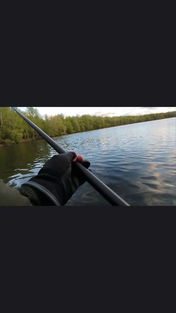 Боковой кивок с killer fish