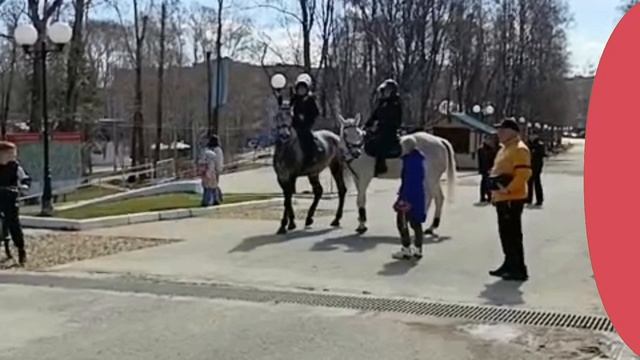 petal_20250509_171516.mp4
