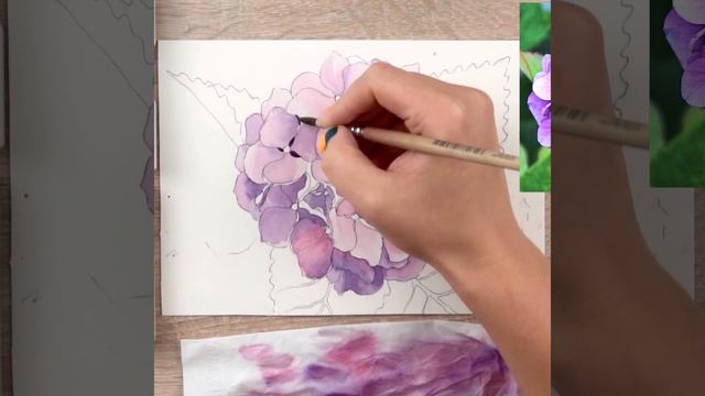 Speedpaint - Как нарисовать гортензию
