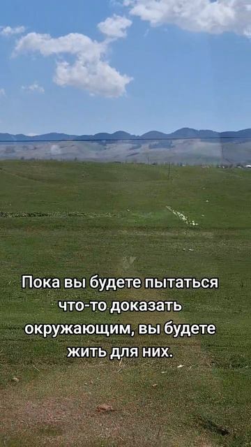 Жизнь
