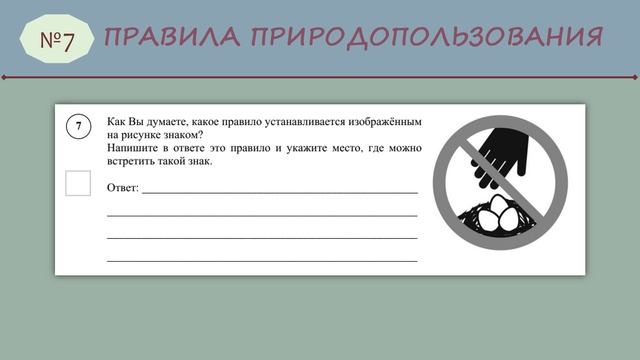 ВПР № 7 _5класс