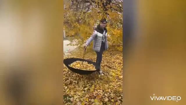 Даня Береза Осень Золотая 🍂 Листочок
