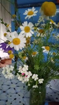 Немного поэзии от меня😘🤗Читаю свои #стихи. Мой телег