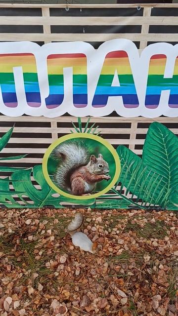 Есть ли у вас план, мистер Фикс?