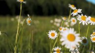 Поля и ритм вместе дарят личную свободу - When You See Me Now inst -- HoliznaRAPS -- When You See Me