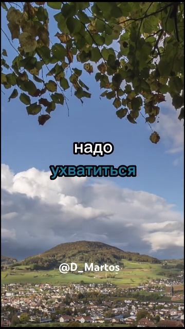 Цитата из книги «Солнцу быть!» Диана Мартос