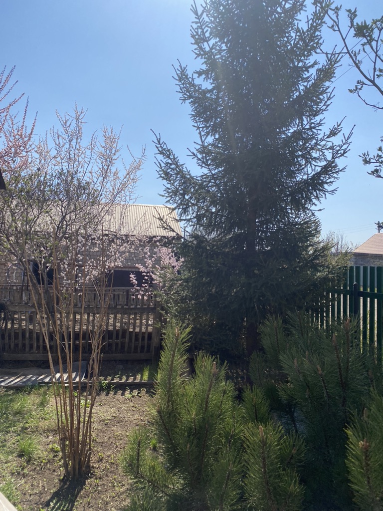 На улице у бабушки