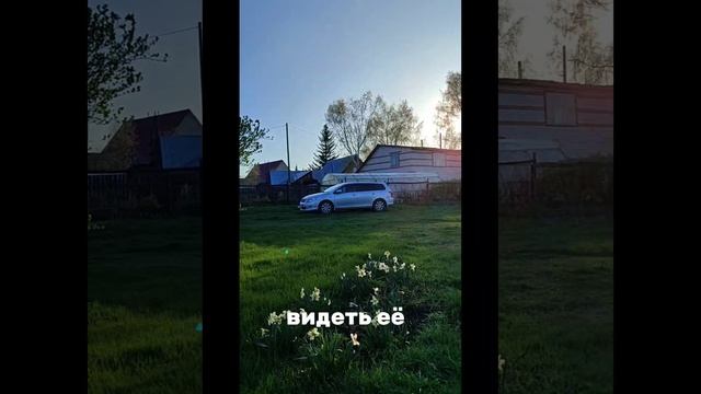 Я люблю тебя, жизнь!