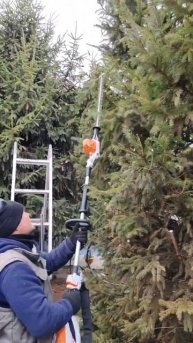 Осторожно! Работает ёлочный парикмахер! #шортс #diy #топ?