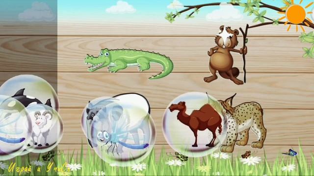 Пазлы Развивающий мультфильм |Пазлы|для детей|Учись|Играй|малышам|онлайн|мультфильм|
