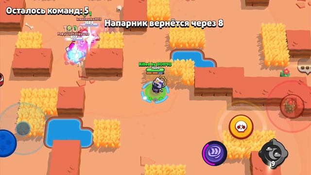 Первое видео... Начало.....