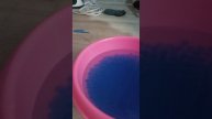 я выращиваю орбизы