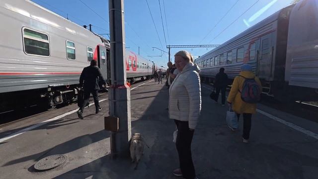 Поезд ВЕСЕЛАЯ ПОЕЗДКА СПБ-МОСКВА-НОВОРОССИЙСК