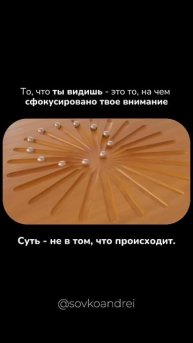Мы не видим мир, каков он есть. Мы видим его через фокус