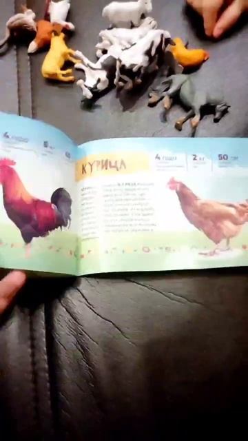 В МИРЕ ЖИВОТНЫХ/Настя играет с фигурками домашних жив?