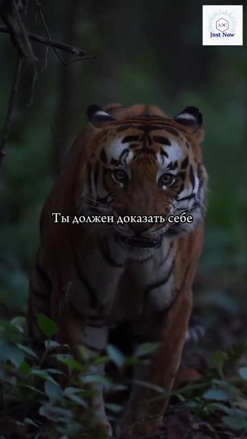 Сегодня у тебя есть ещё один день! 🔥🔥🔥