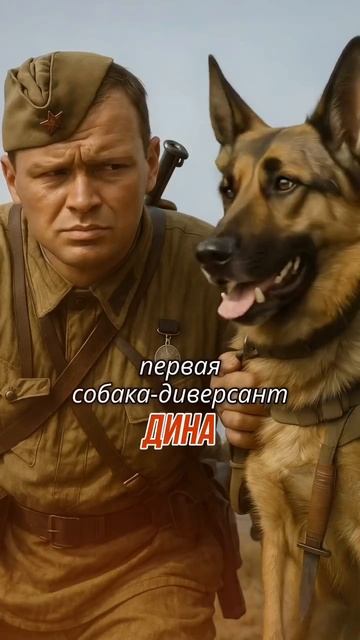 Они не носили погон...