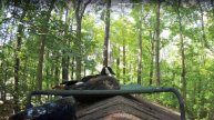 Пока хозяйка уехала, жена на час решила примерить ее с?