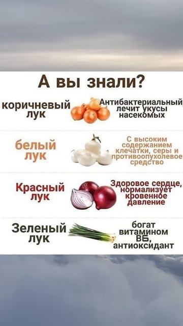 А вы знали про лук #советы #полезныесоветы #полезно #ча?