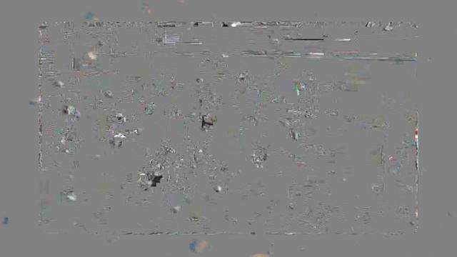 petal_20250509_171816.mp4