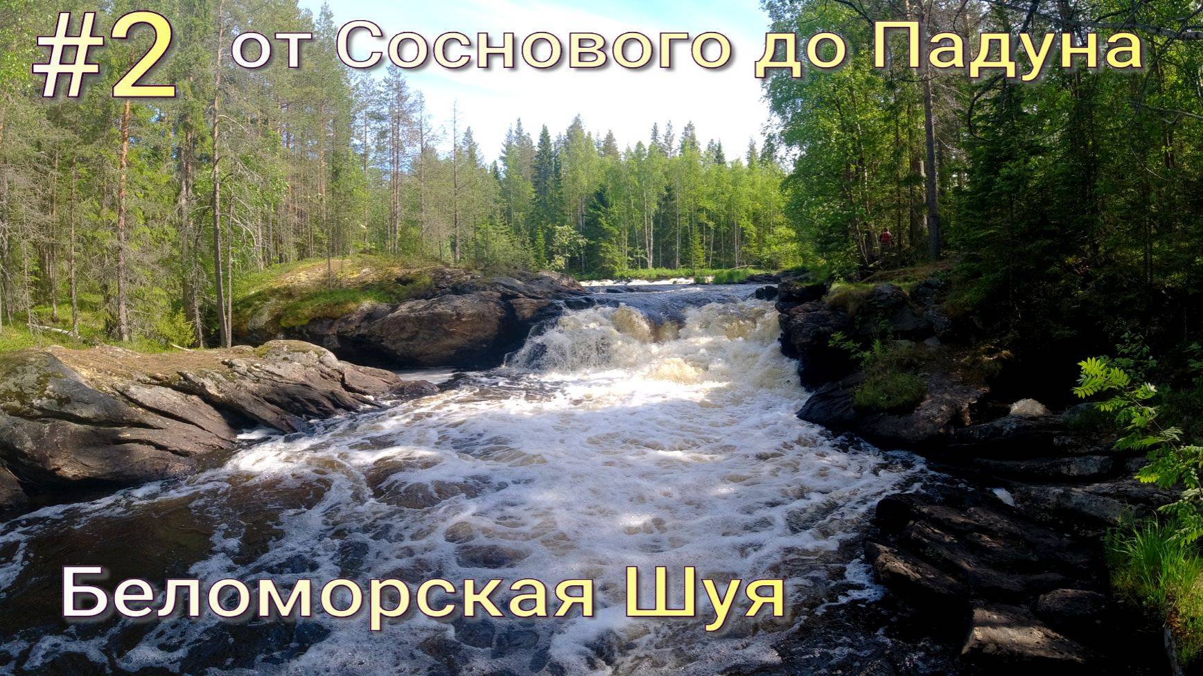Беломорская (Северная) Шуя . 2024 .Сплав по реке Карелии в июне.