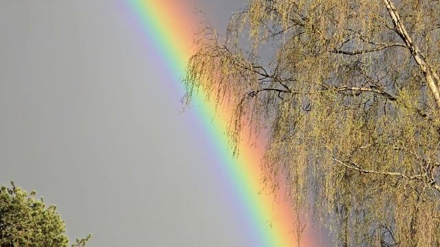 Радуга 7 мая 2025