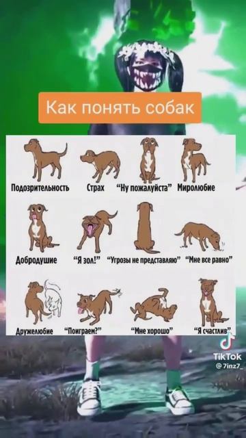 у собак тоже есть душа 😘
