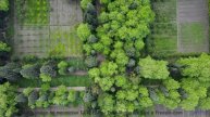 Биохакинг через звук - как эта музыка улучшает вашу ДНК! - Мешок муки -- POVALISHIN DIVISION -- Выпу