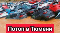 09.02.25.ПОТОП В ТЮМЕНИ.СИТУАЦИЯ УХУДШАЕТСЯ.ВОДА БЫСТРО ПРИБЫВАЕТ. СМОТРИТЕ ПОСЛЕДСТВИЯ! НОВОСТИ