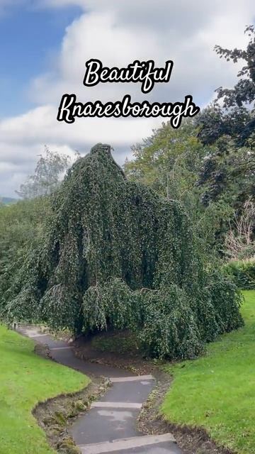 Life in the UK   Visit beautiful Knaresborough #practiceenglish #shorts #lifeintheuk