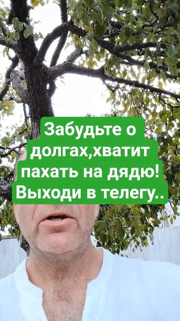 #социальный #проект бизнес в интернете