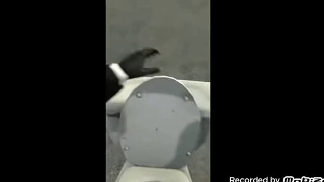 skibidi toilet 8-16 озвучка (Асад тагиев)